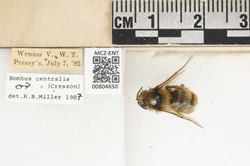 Media type: image;   Entomology 804650 Aspect: labels